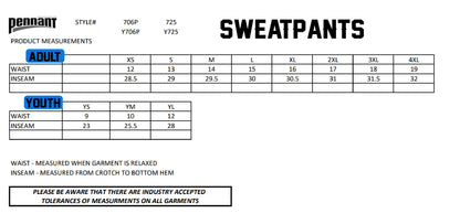 Danvers Basketball - Falcon Pennant super 10 Open Bottom Sweats
